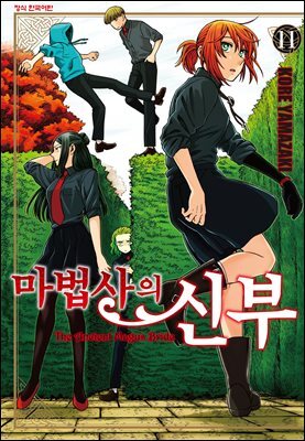 마법사의 신부 11권