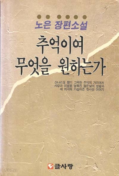 추억이여 무엇을 원하는가