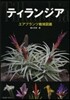 ティランジア エアプランツ栽培圖鑑