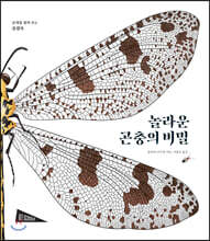 놀라운 곤충의 비밀