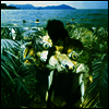 Local Natives / Sylvan Esso - Dark Days (7 inch Single LP)