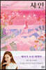 샤인