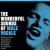 팝/재즈 남성 보컬 모음집 (The Wonderful Sounds of Male Vocals) [2LP]
