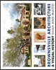 Brownsville Architecture: A Visual History: Pino Shah and Eileen Mattei