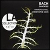 바흐 : 칸타타 BWV.180, 49, 115 - 바바라 슐리크, 안드레아스 숄, 코인