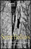 Secret Hollows: A Mary O'Reilly Paranormal Mystery - Book Seven