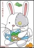 천체전사 선레드 14