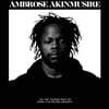 Ambrose Akinmusire (앰브로스 아킨무시리) - on the tender spot of every calloused moment [LP]