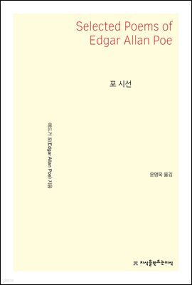 포 시선 - 지식을만드는지식 시선집