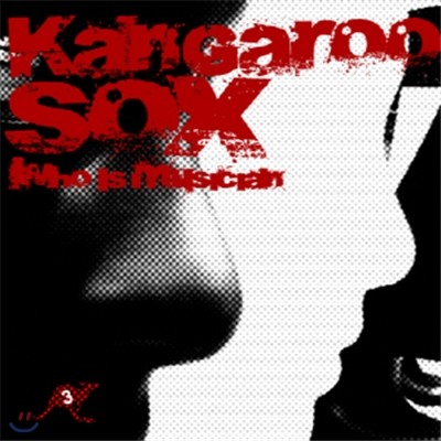 캥거루 삭스(Kangaroo SOX) - Who Is Musician