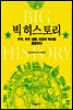 빅 히스토리