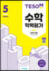 TESOM 수학 학력평가 하반기대비 초등5