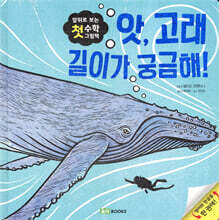 앗, 고래 길이가 궁금해!