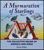 A Murmuration of Starlings