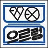 엑소 (EXO) 1집 - 리패키지 앨범 : XOXO [Kiss Ver. / 한국어반]