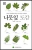 나뭇잎 도감