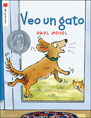 Veo Un Gato