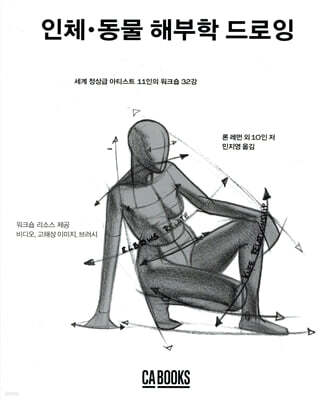 인체·동물 해부학 드로잉
