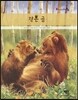 작은 곰