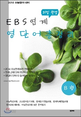 EBS 연계 31일 완성 영단어 총정리 B형 (2013년)