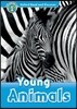 Read and Discover 1: Young Animals