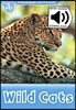 Read and Discover 1: Wild Cats (with MP3)