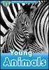 Read and Discover 1: Young Animals (with MP3)