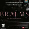 Vladimir Mendelssohn 브람스: 현악오중주 1, 2번 (Brahms: String Quintets Op.88 & Op.111)
