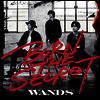 Wands (완즈) - Burn The Secret (CD)