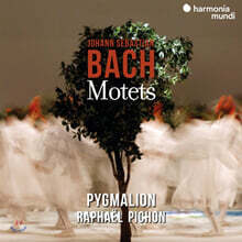 Pygmalion 바흐: 모테트 BWV225-230 (J.S. Bach: Motets)