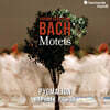 Pygmalion 바흐: 모테트 BWV225-230 (J.S. Bach: Motets)