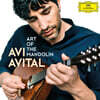 Avi Avital 아비 아비탈 - 만돌린 작품집 (Art of the Mandoline)