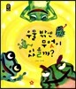 우물 밖엔 무엇이 있을까?