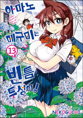 아마노 메구미는 빈틈투성이! 13권