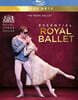 에센셜 로열 발레 (Essential Royal Ballet)