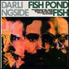 Darlingside - Fish Pond Fish (LP)