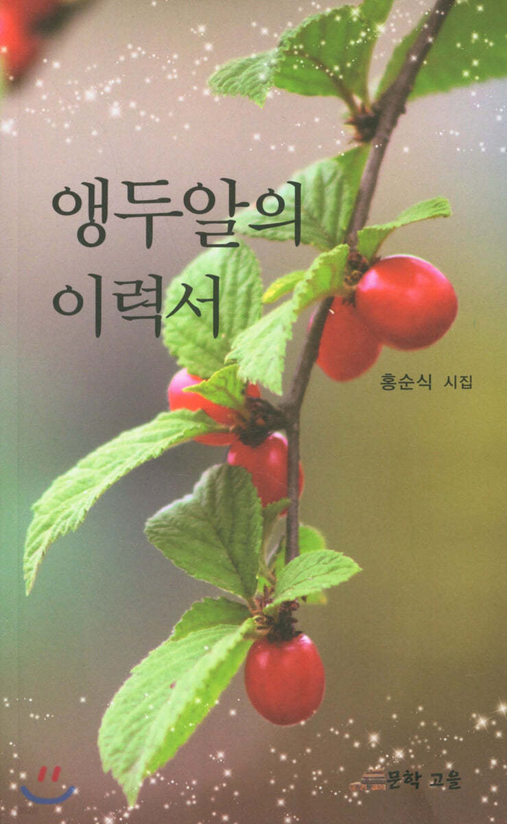 앵두알의 이력서