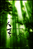 숲의 주인