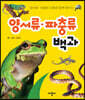 양서류·파충류 모형과 함께 배우는 양서류·파충류 백과