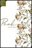 피크 (Peak)