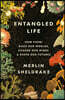 Entangled Life: How Fungi Make Our Worlds, Change Our Minds & Shape Our Futures