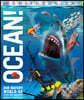 Knowledge Encyclopedia Ocean!