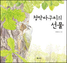 [빅북] 청딱따구리의 선물