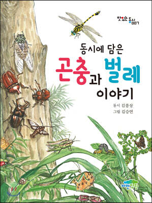 동시에 담은 곤충과 벌레 이야기