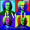 바흐 편곡 작품집 (Bach Transcriptions) (20CD Boxset) - Seldom Sene