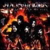 Black Veil Brides (블랙 베일 브라이즈) - Set The World On Fire [LP]