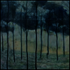 Camera Obscura - Desire Lines (Deluxe Edition)(LP+CD)