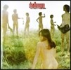 Yuya Uchida & The Flowers - Challenge