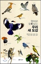 우리 새 도감