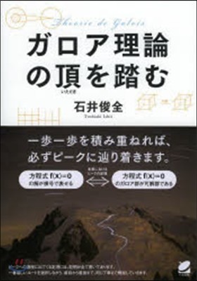 ガロア理論の頂を踏む